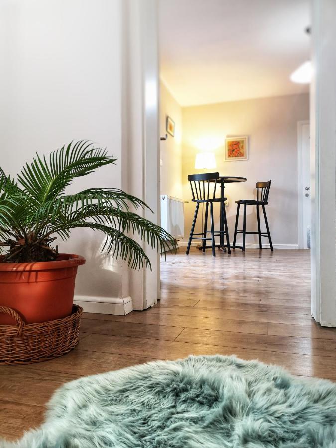 Home Garden Oasis Timisoara Exterior photo